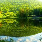 Frühsommer in der Eifel.............