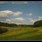 Frühsommer in der Fränkischen