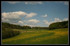 Frühsommer in der Fränkischen