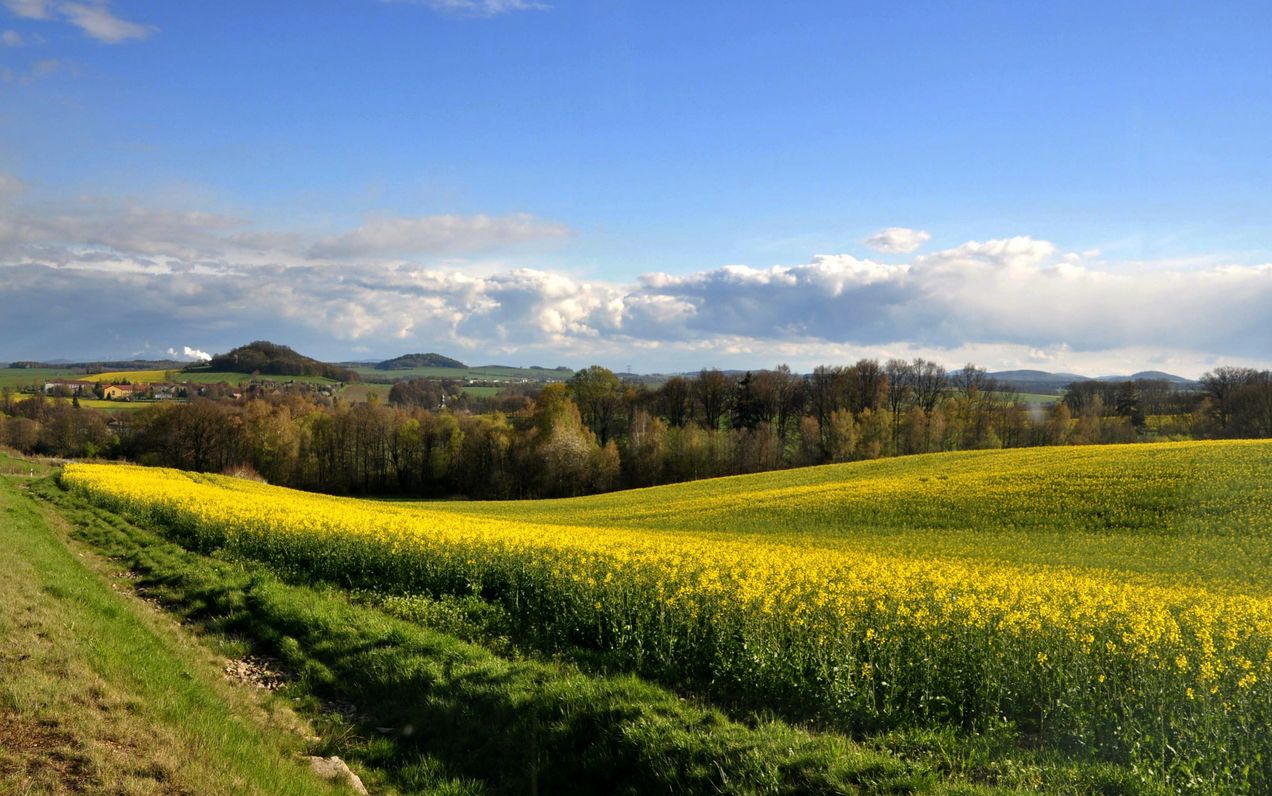 Frühsommer in der Oberlausitz