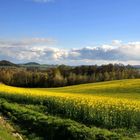 Frühsommer in der Oberlausitz