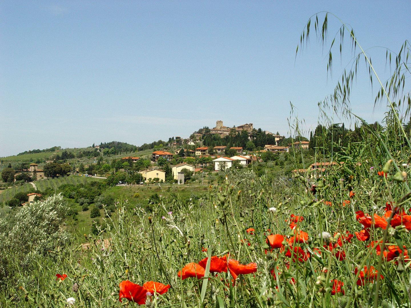 Frühsommer in der Toscana