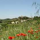 Frühsommer in der Toscana