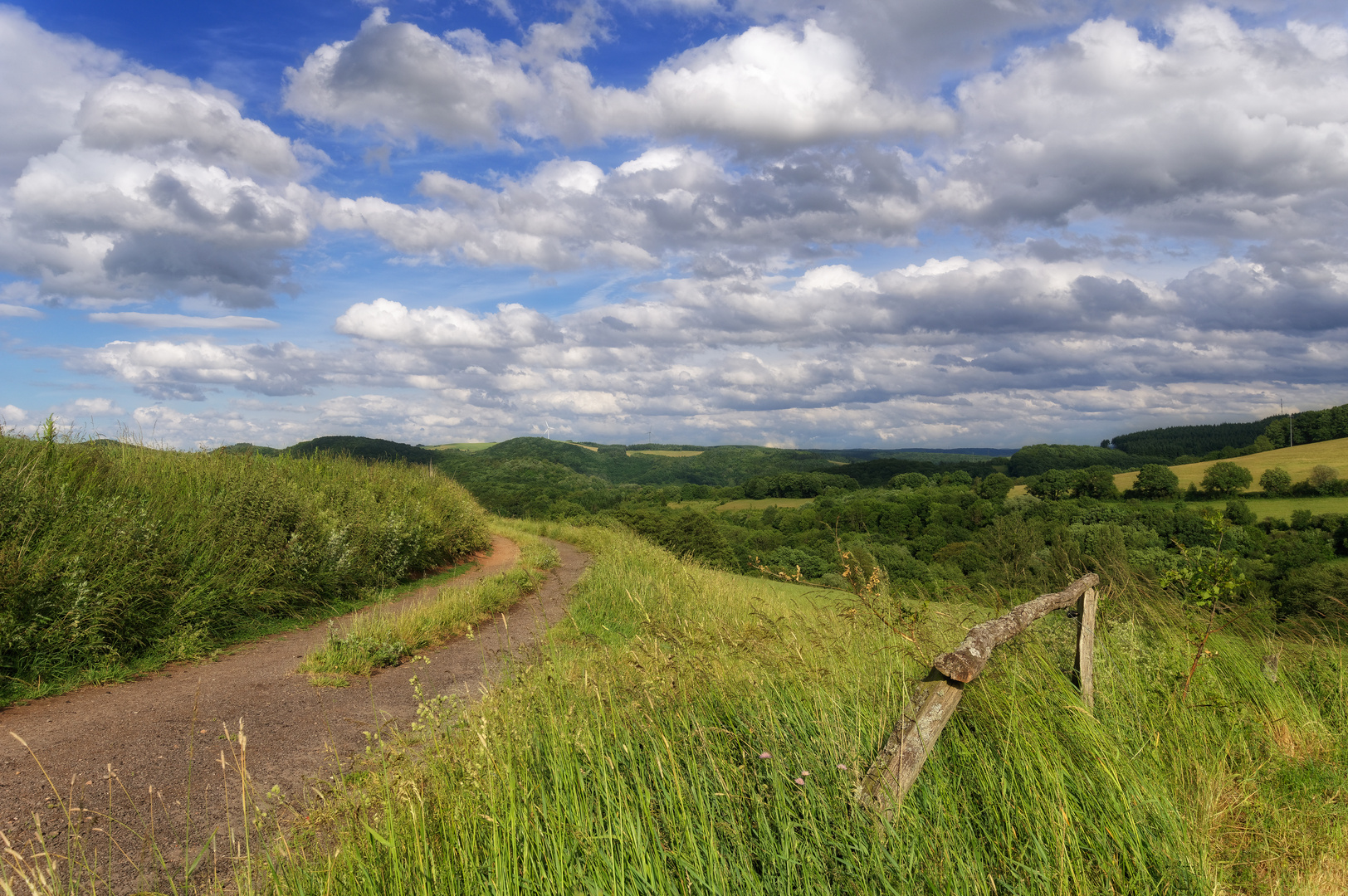 Frühsommer in der Westpfalz