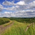 Frühsommer in der Westpfalz