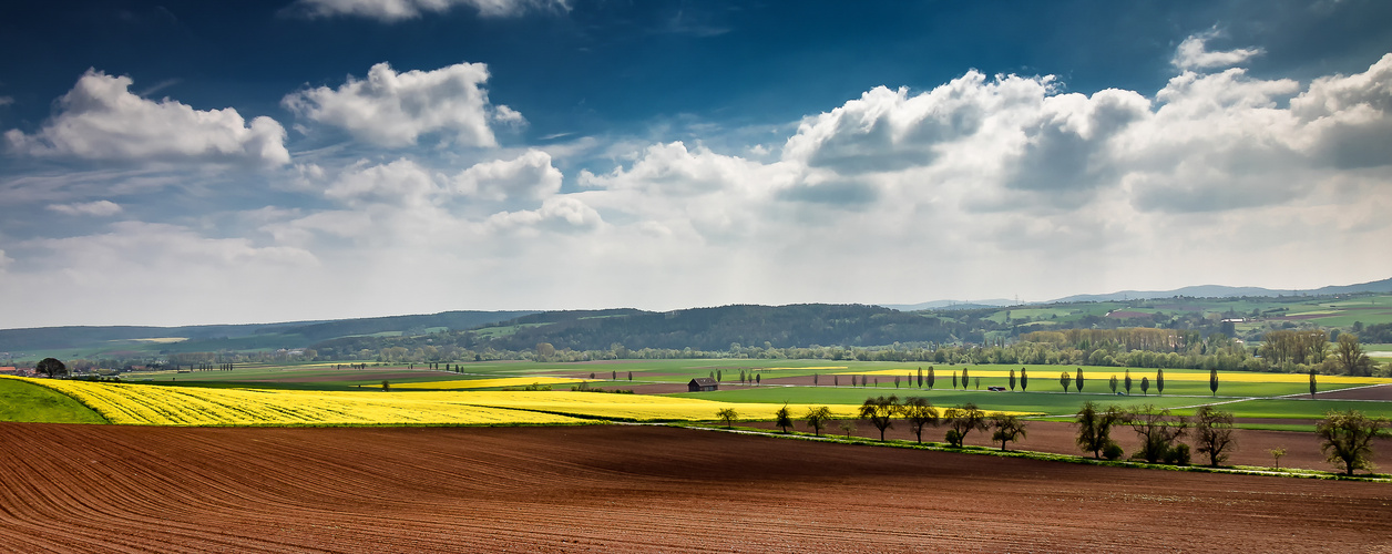 Frühsommer in Hessen