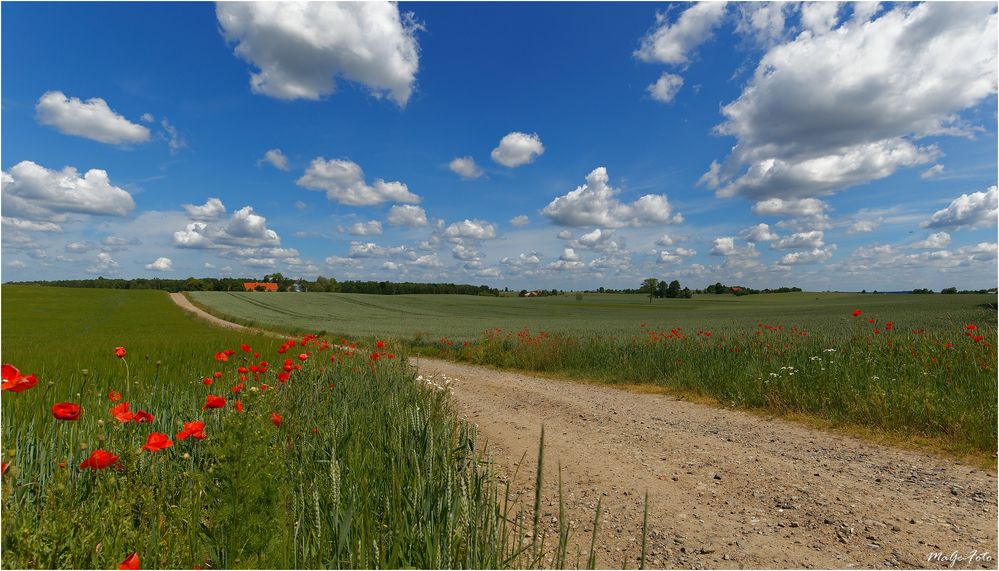 Frühsommer in Masuren