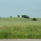 Frühsommer in MV