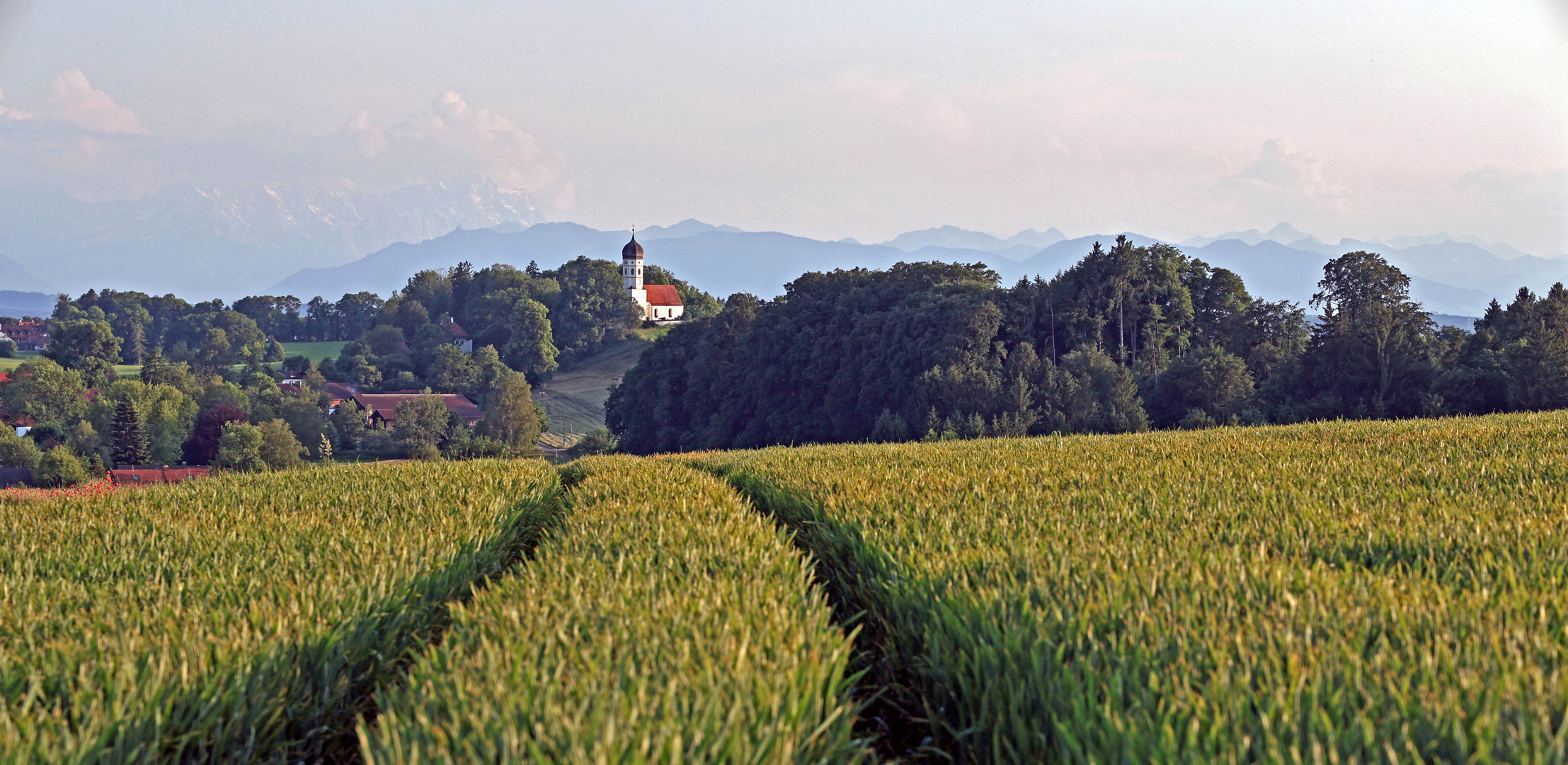 Frühsommer in Oberbayern