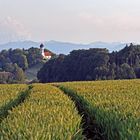Frühsommer in Oberbayern