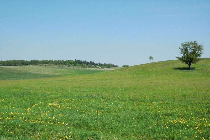 Frühsommer in Thüringen