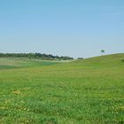 Frühsommer in Thüringen