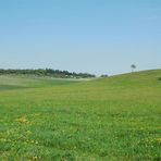 Frühsommer in Thüringen