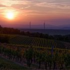 Frühsommer-Sonnenuntergang in Rheinhessen