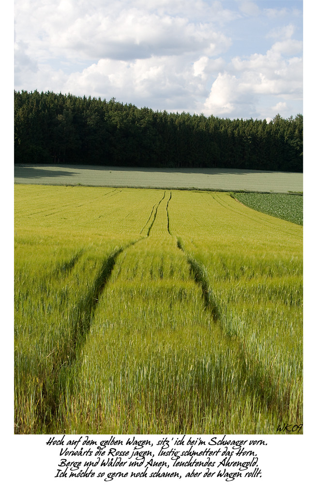 Frühsommer über den Feldern bei Bellenberg