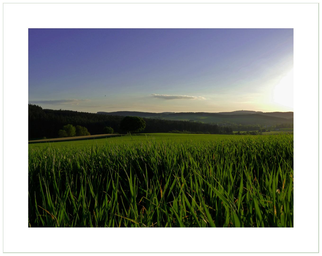 Frühsommerabend