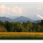 Frühsommerabend im Voralpenland