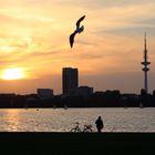 Frühsommerabend in Hamburg