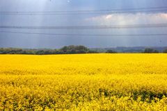 Frühsommergewitter in Mecklenburg