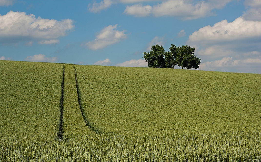 Frühsommerimpression