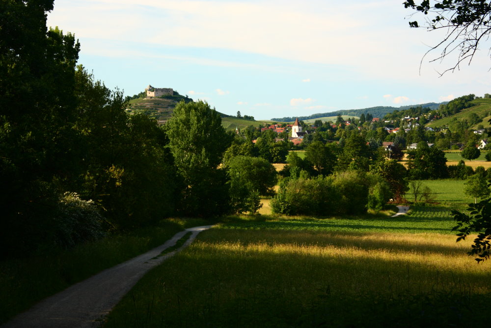 Frühsommerlandschaft