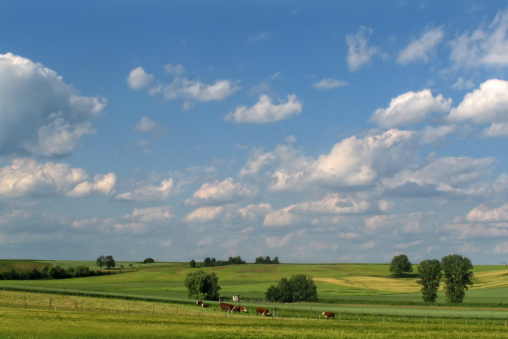 frühsommerliche Idylle