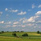 frühsommerliche Idylle