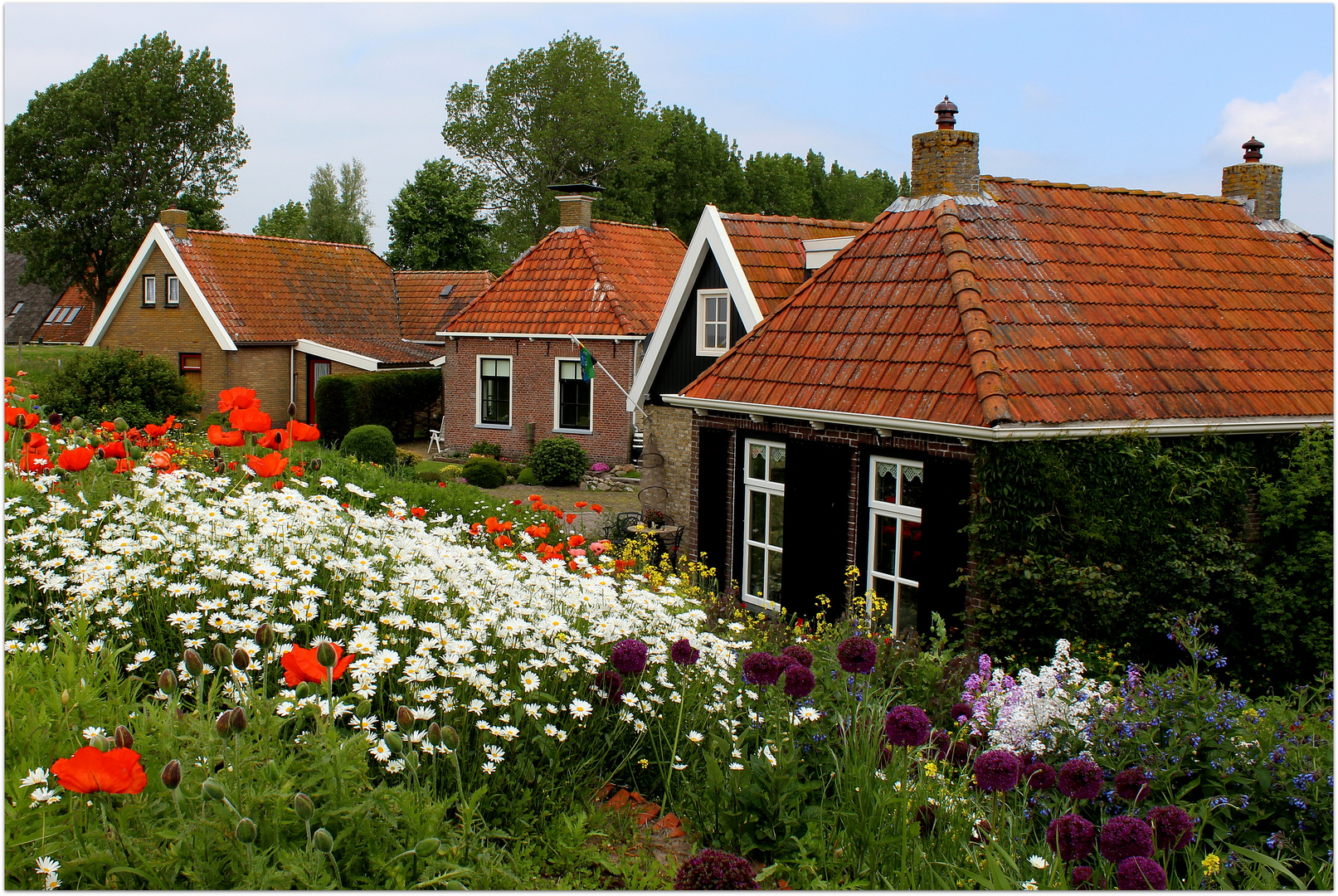 Frühsommerlicher Bauerngarten in Laaxum am Ijsselmeer