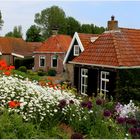 Frühsommerlicher Bauerngarten in Laaxum am Ijsselmeer