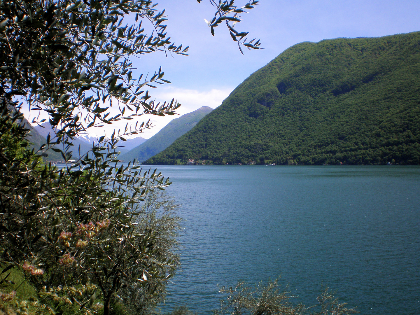 frühsommerlicher Seeblick