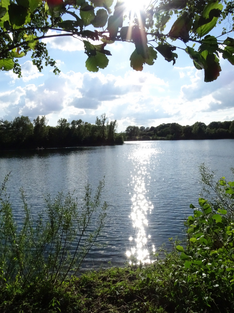 Frühsommerstimmung am See