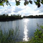 Frühsommerstimmung am See