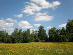 Frühsommertag