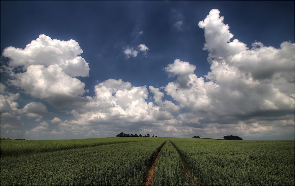 Frühsommertage