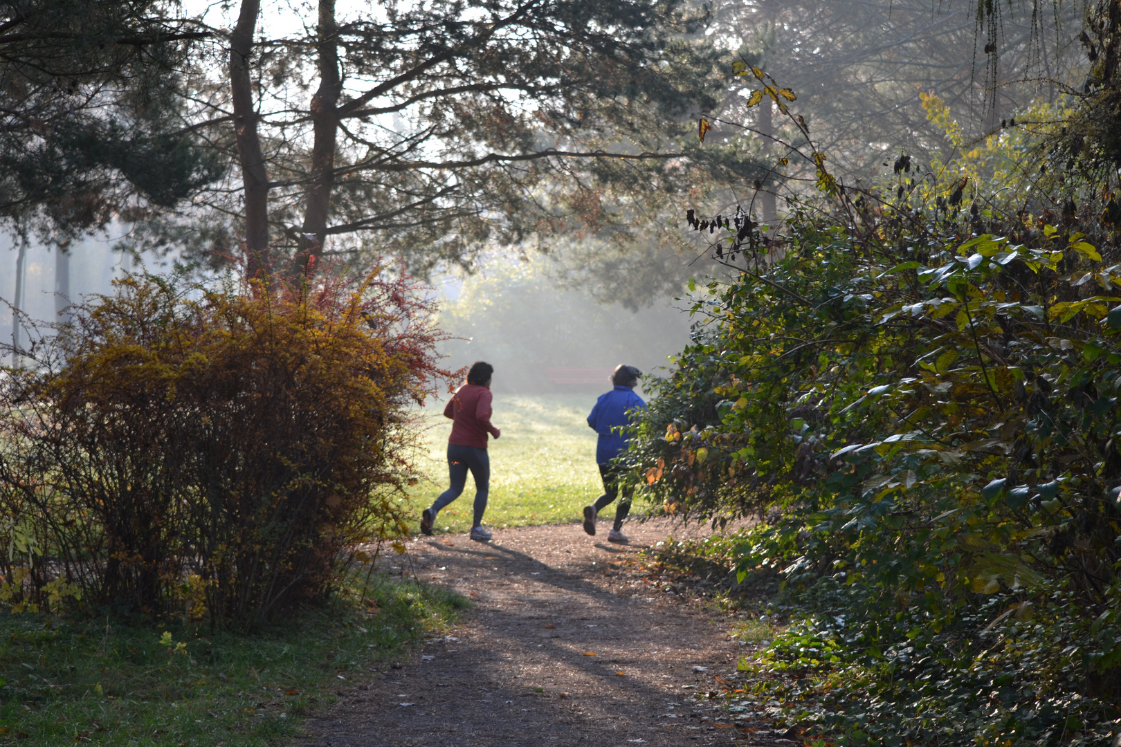 Frühsport im Park