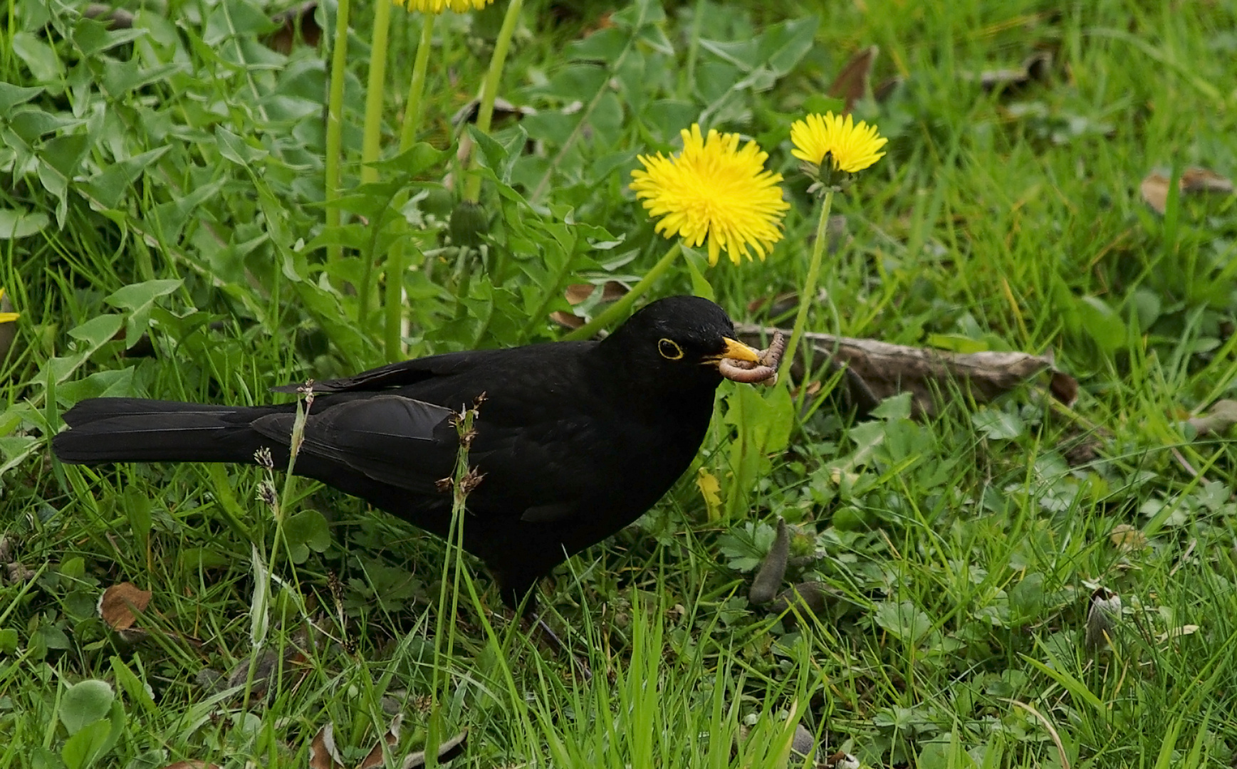 - Frühstück -