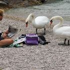 Frühstück am See