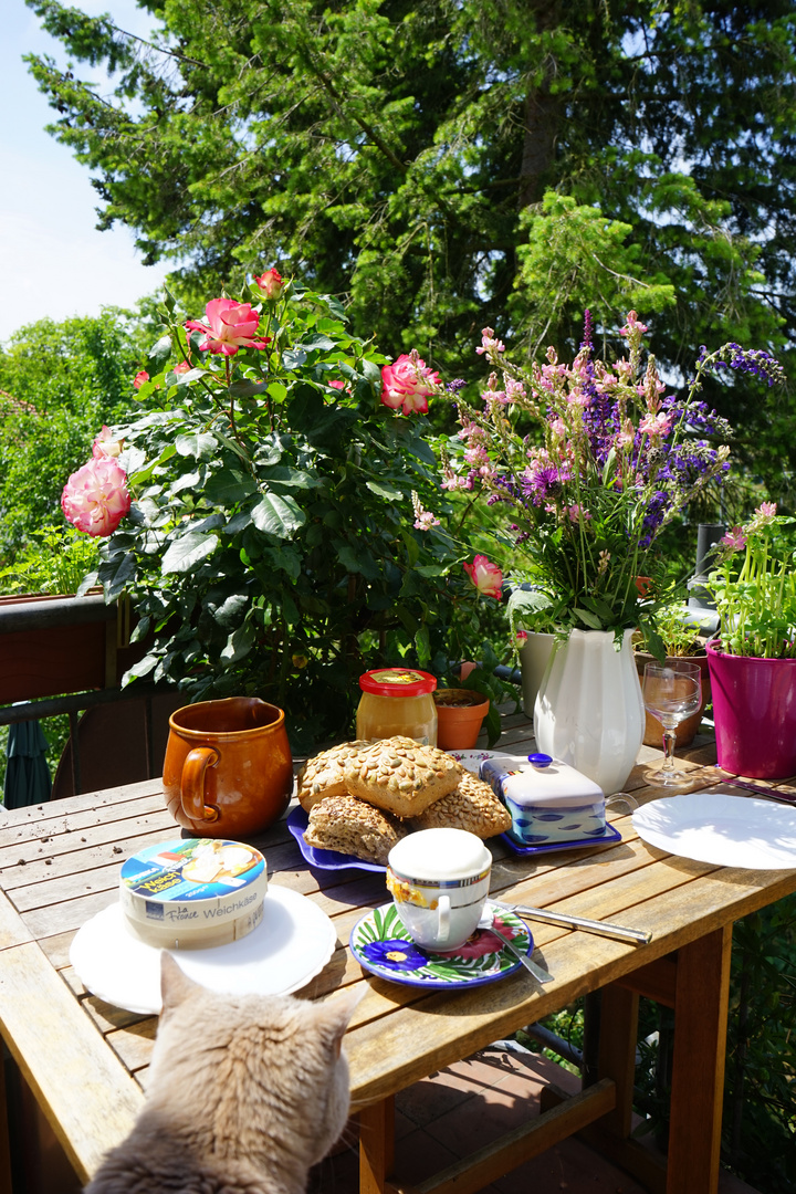 Frühstück auf dem Balkon