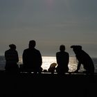 Frühstück auf Sylt mit Hund