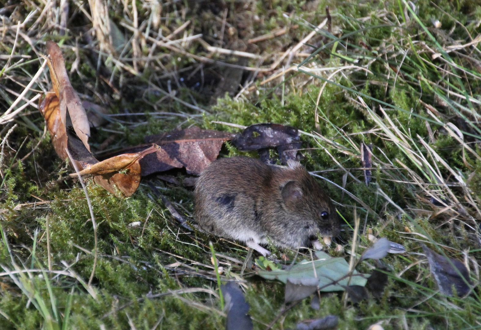 Frühstück