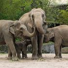 Frühstück bei Hagenbeck