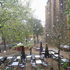 Frühstück im Biergarten(?)...