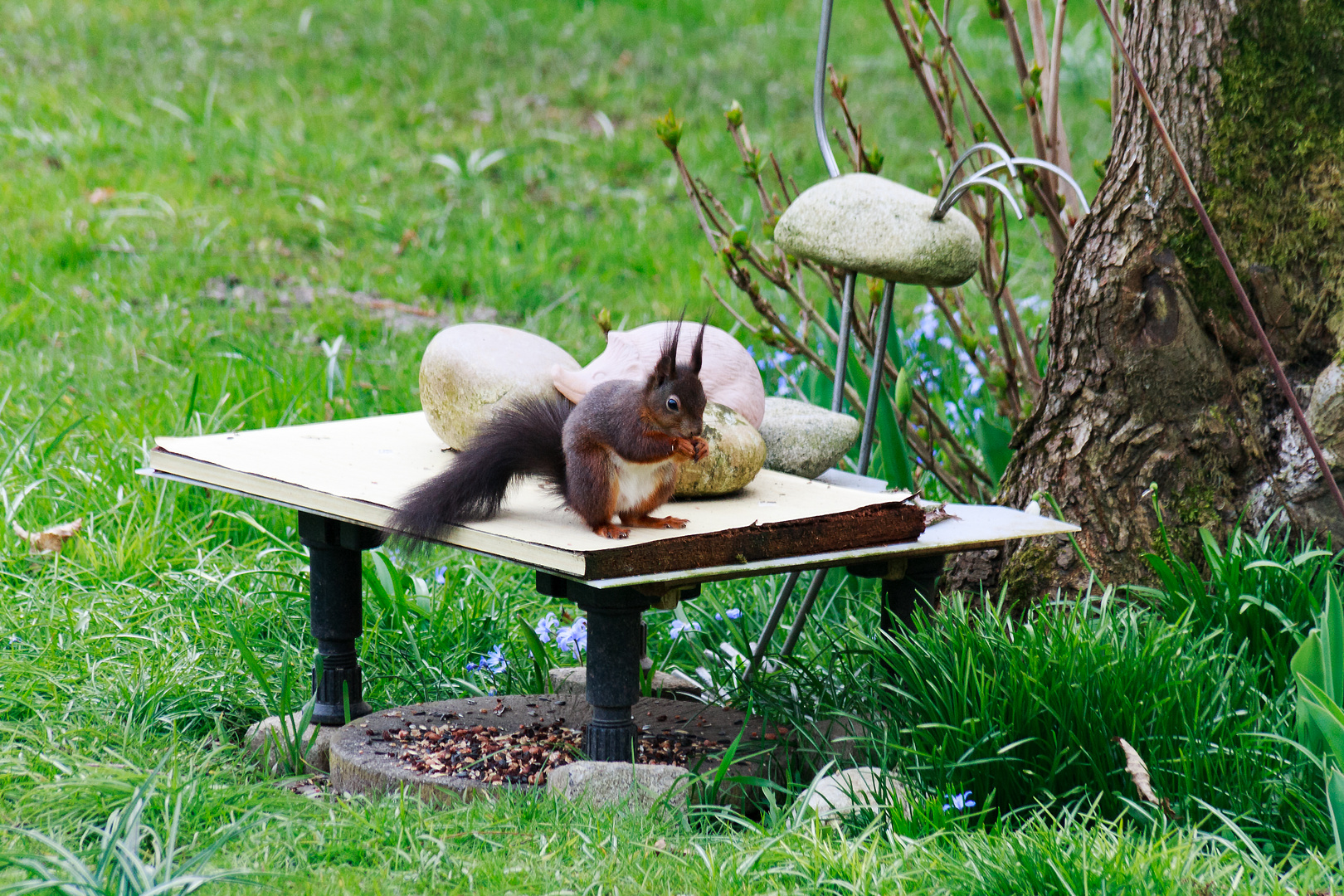 Frühstück im Garten