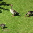 Frühstück im Garten und Papa passt auf