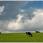 "Frühstück im Gras"