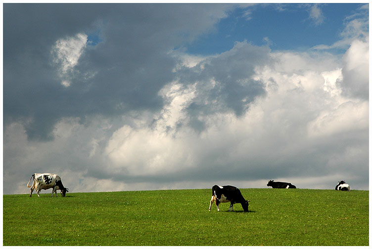 "Frühstück im Gras"