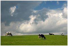 "Frühstück im Gras"