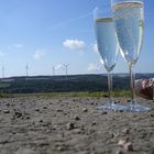 Frühstück im Hochwald