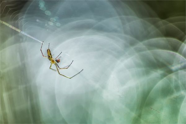 frühstück im licht
