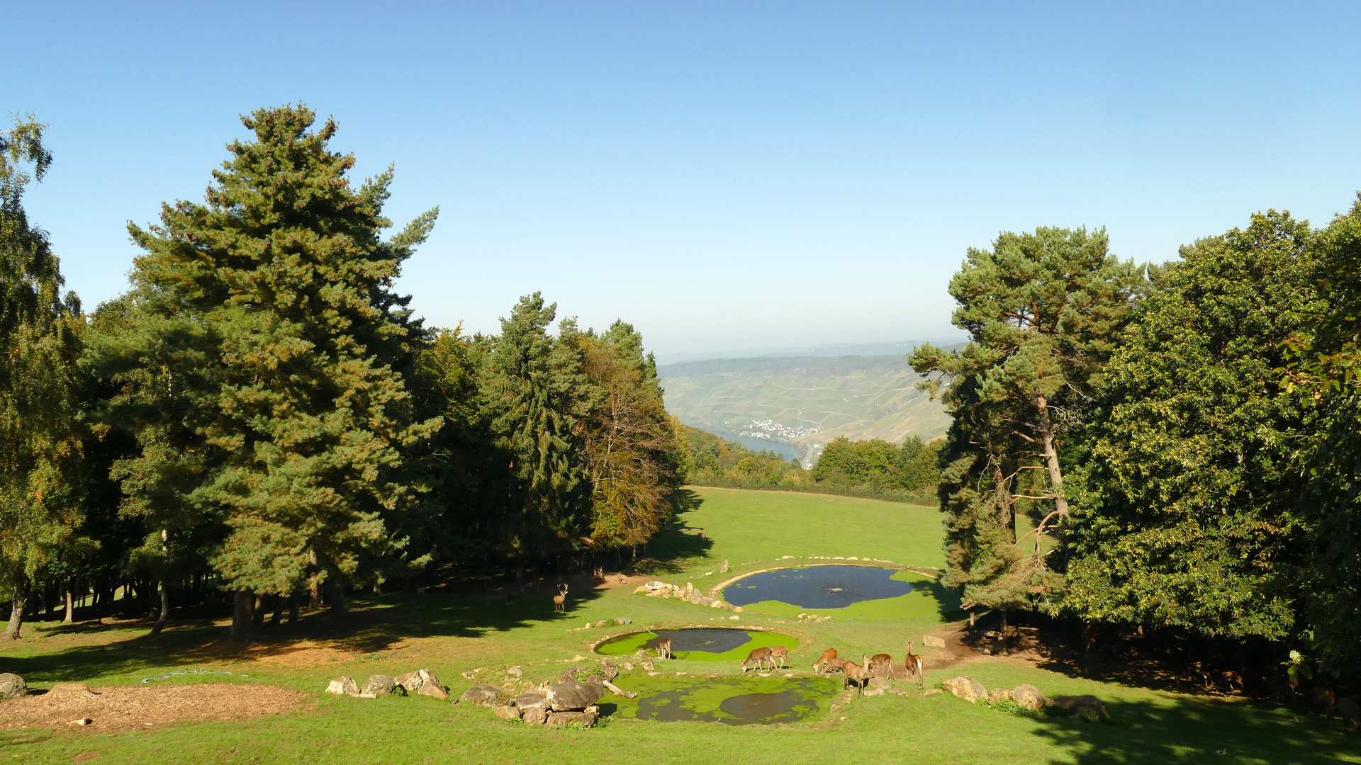 °°°° Frühstück im Naturparadies °°°°